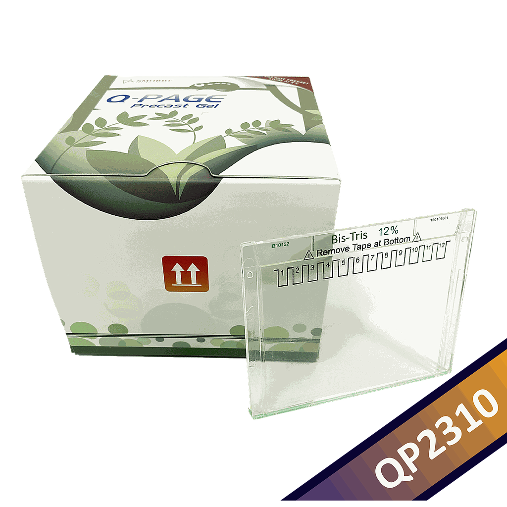 [QP2310] [QP2310] Q-PAGE™ Bis-Tris Precast Gel (Mini, 12 wells, 12%), 10 gels