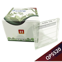 [QP5520] Q-PAGE™ TGN Precast Gel (Midi, 15 wells, 4-15%), 10 gels