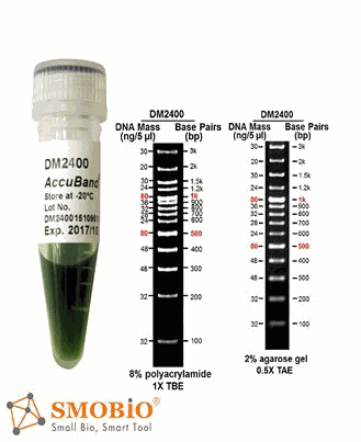 [DM2400] AccuBand™ 100 bp+3K DNA Ladder II, 500 μl