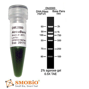 smobio