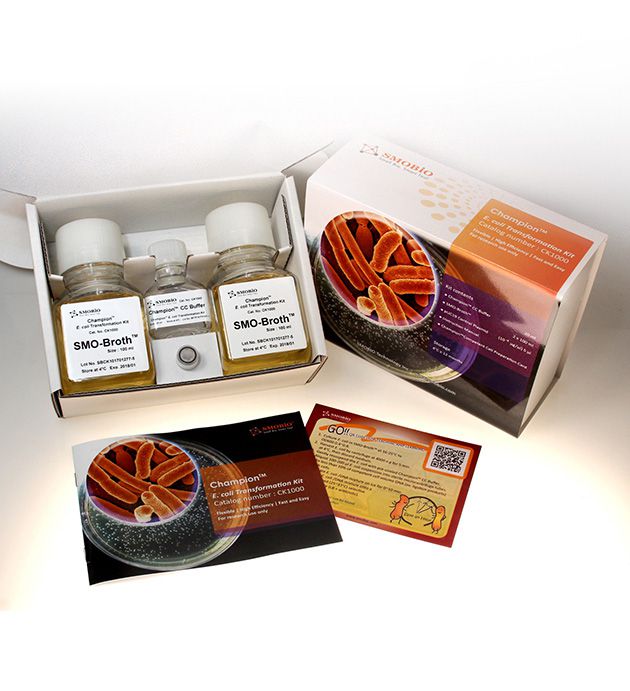 [CK1000] Champion™ E. coli Transformation Kit, 200 Rxn