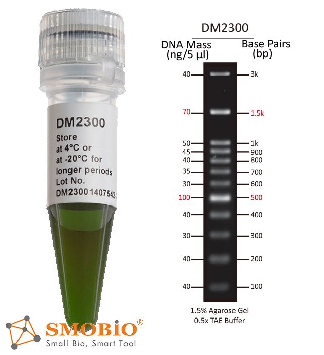 [DM2300] ExcelBand™ 100 bp+3K DNA Ladder, 500μl