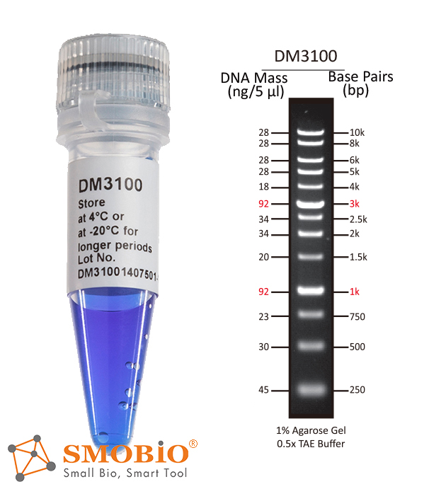 [DM3100] ExcelBand™ 1KB (0.2510 kb) DNA Ladder, 500 μl