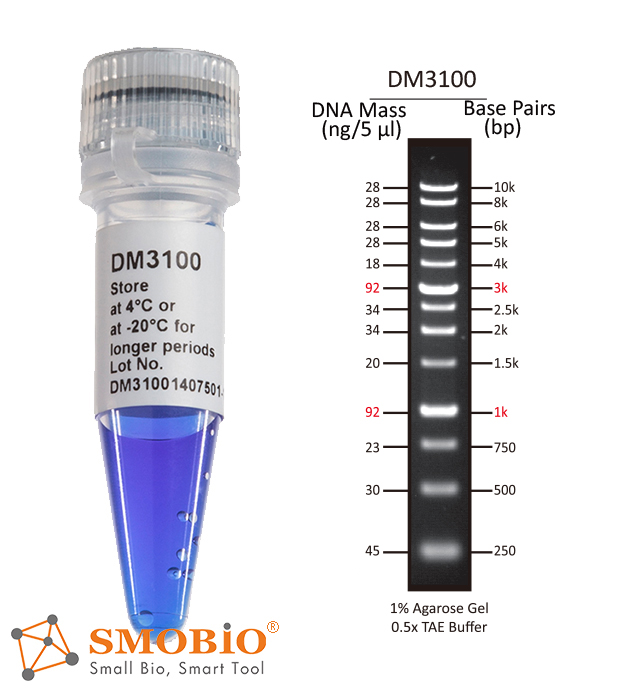 [DM3100] ExcelBand™ 1KB (0.25-10 kb) DNA Ladder, 500 μl