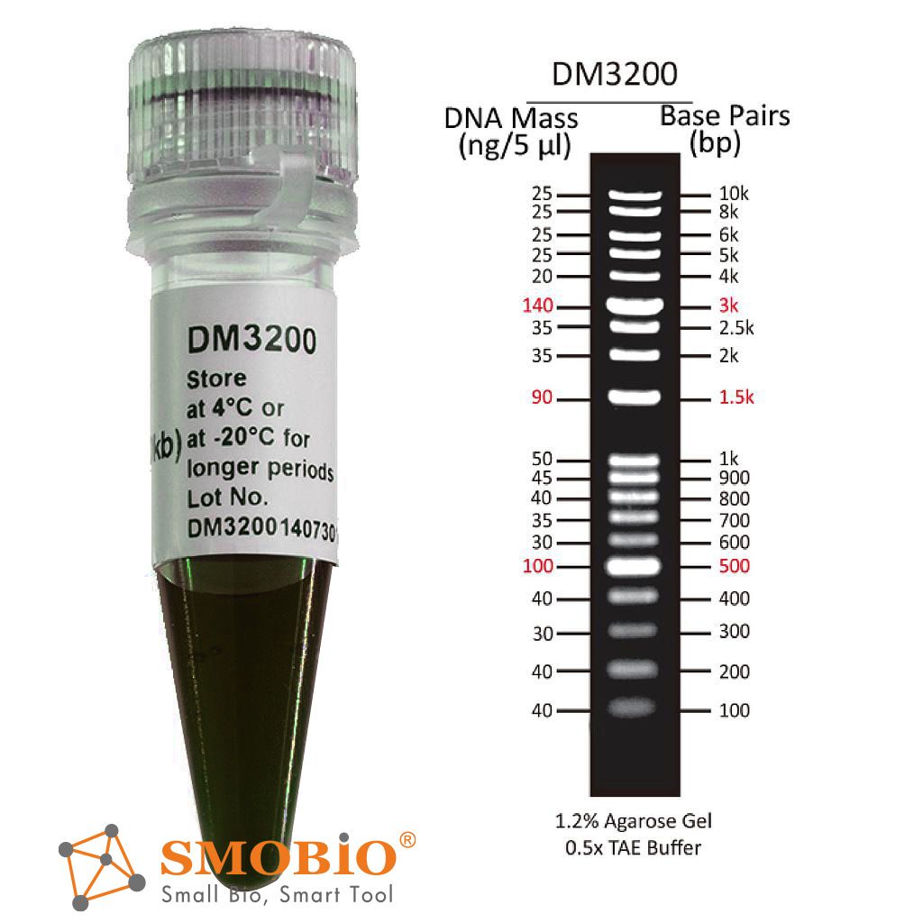 [DM3200] ExcelBand™ 1KB Plus (0.1-10 kb) DNA Ladder, 500 μl