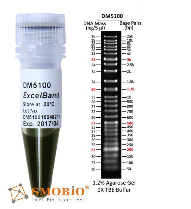 [DM5100] ExcelBand™ Super Range DNA Ladder (50 bp-25 kb), 500 μl