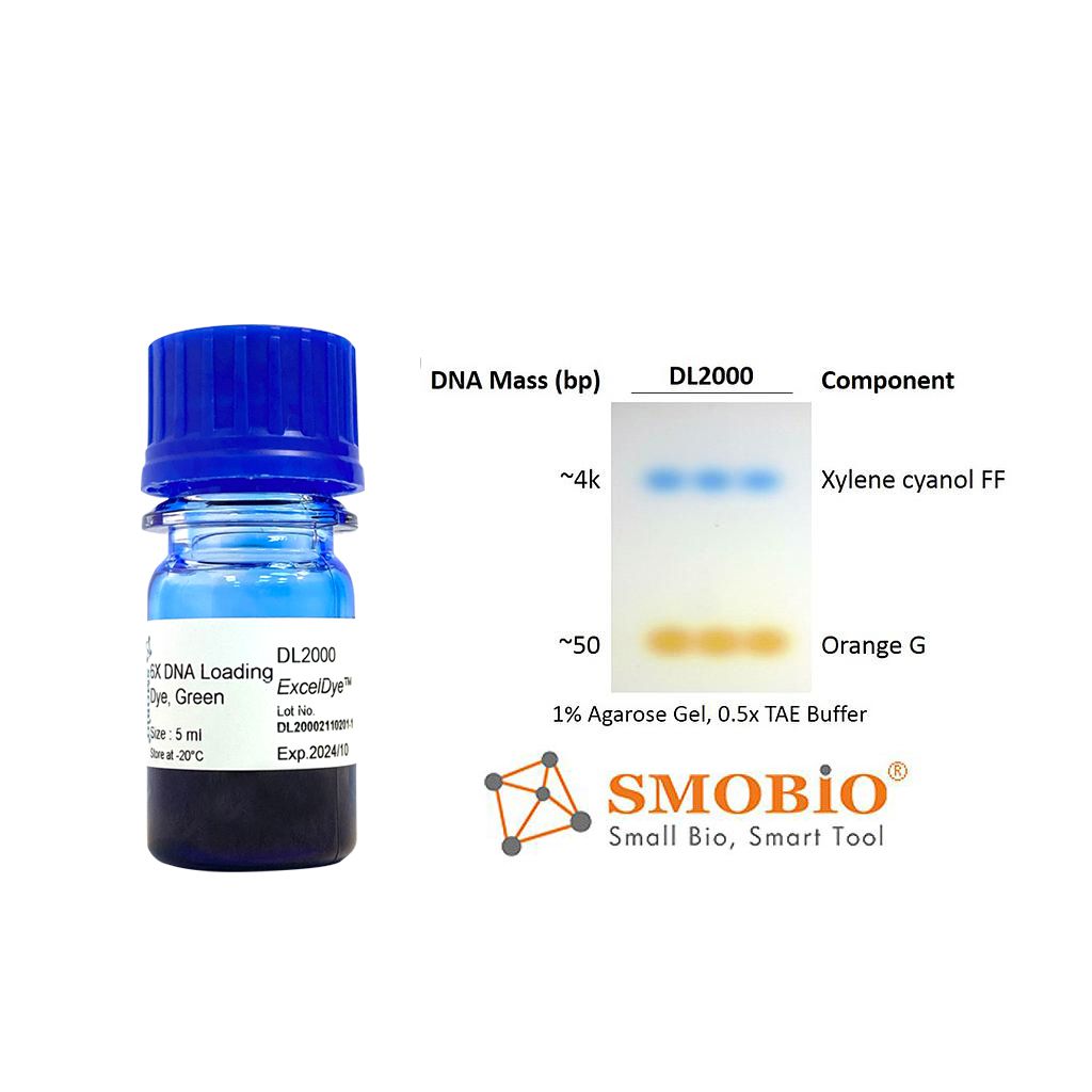 [DL2000] ExcelDye™ 6X DNA Loading Dye, Green, 5 ml x 2