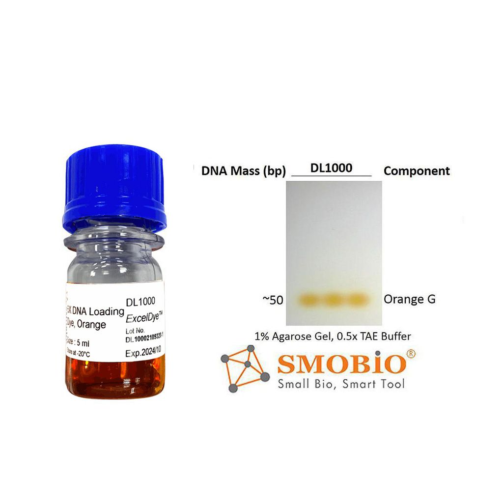 [DL1000] ExcelDye™ 6X DNA Loading Dye, Orange, 5 ml x 2