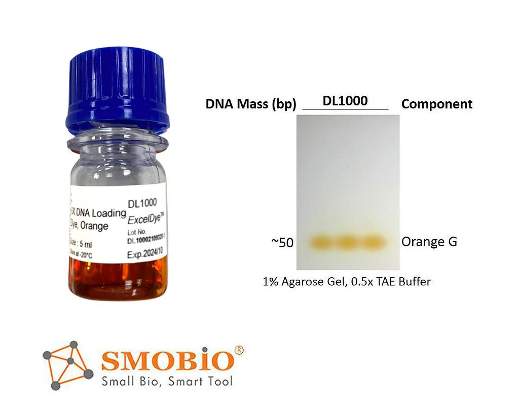 [DL1000] ExcelDye™ 6X DNA Loading Dye, Orange, 5 ml x 2
