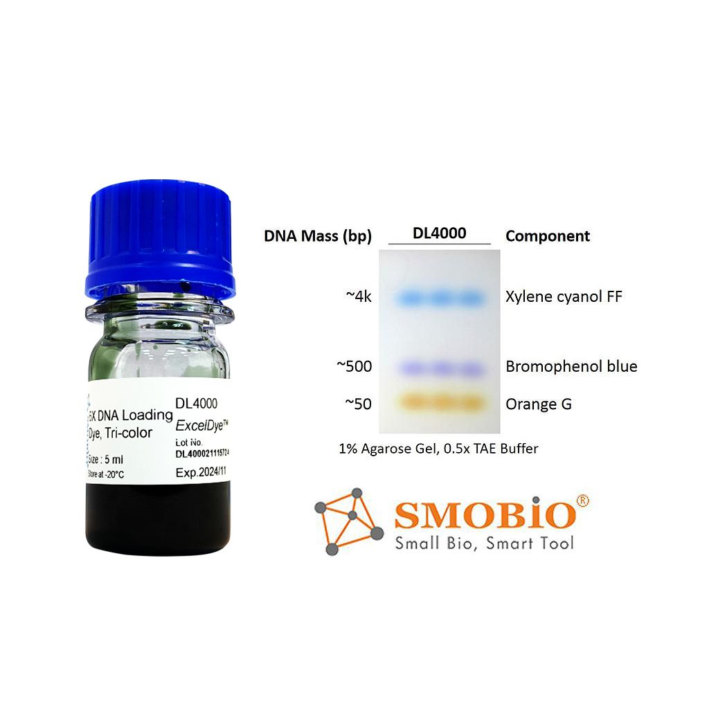 [DL4000] ExcelDye™ 6X DNA Loading Dye, Tricolor, 5 ml x 2