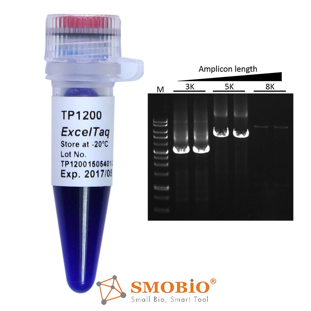 [TP1200] ExcelTaq™ 5X PCR Master Dye Mix