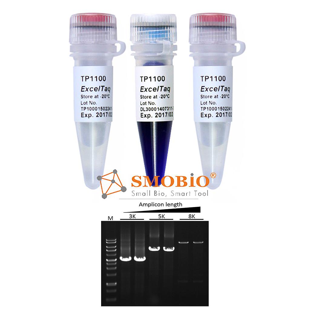 [TP1100/TP1120] ExcelTaq™ 5X/2X PCR Master Mix