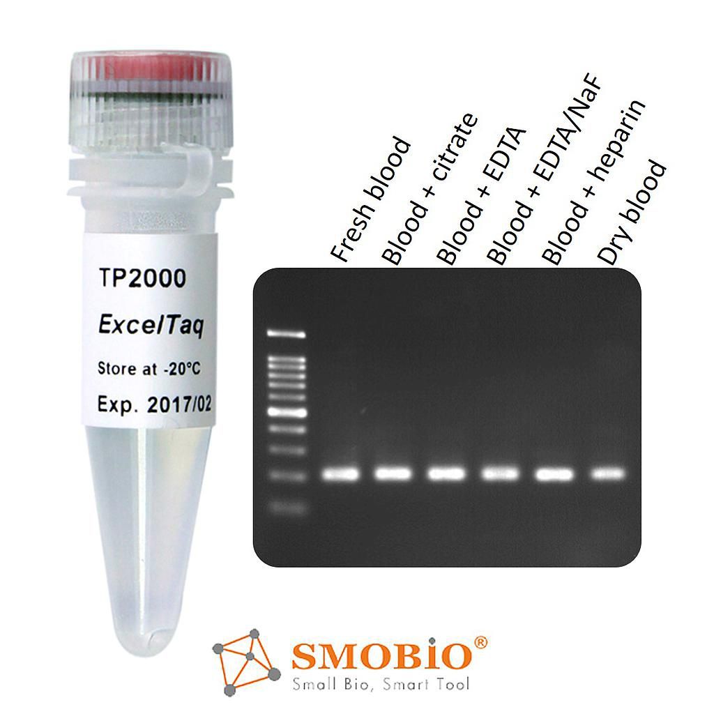 [TP2000] ExcelTaq™ Blood Direct DNA Polymerase, (5 U/μl, 500 U)