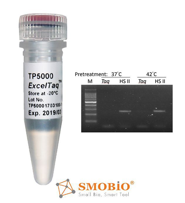 [TP5000] ExcelTaq™ Hot Start II DNA Polymerase (5 U/μl, 500 U)