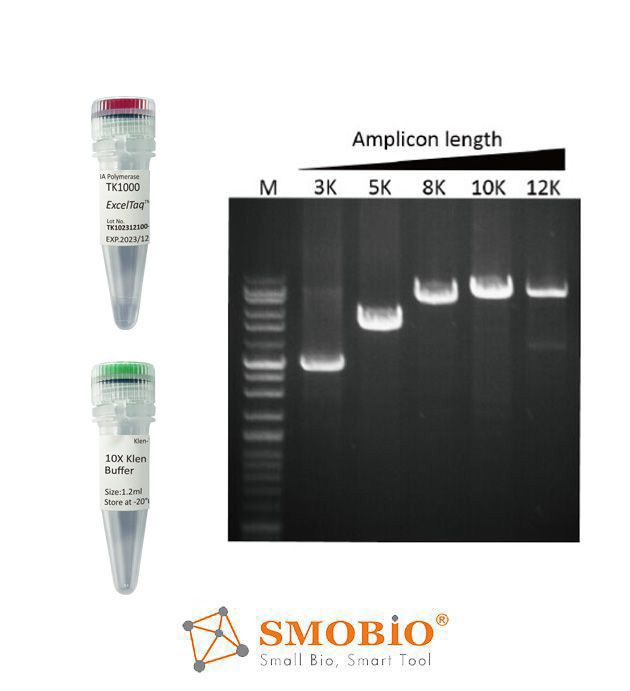 [TK1000] ExcelTaq™ Klen-Taq DNA Polymerase, 5 U/μl, 500 U