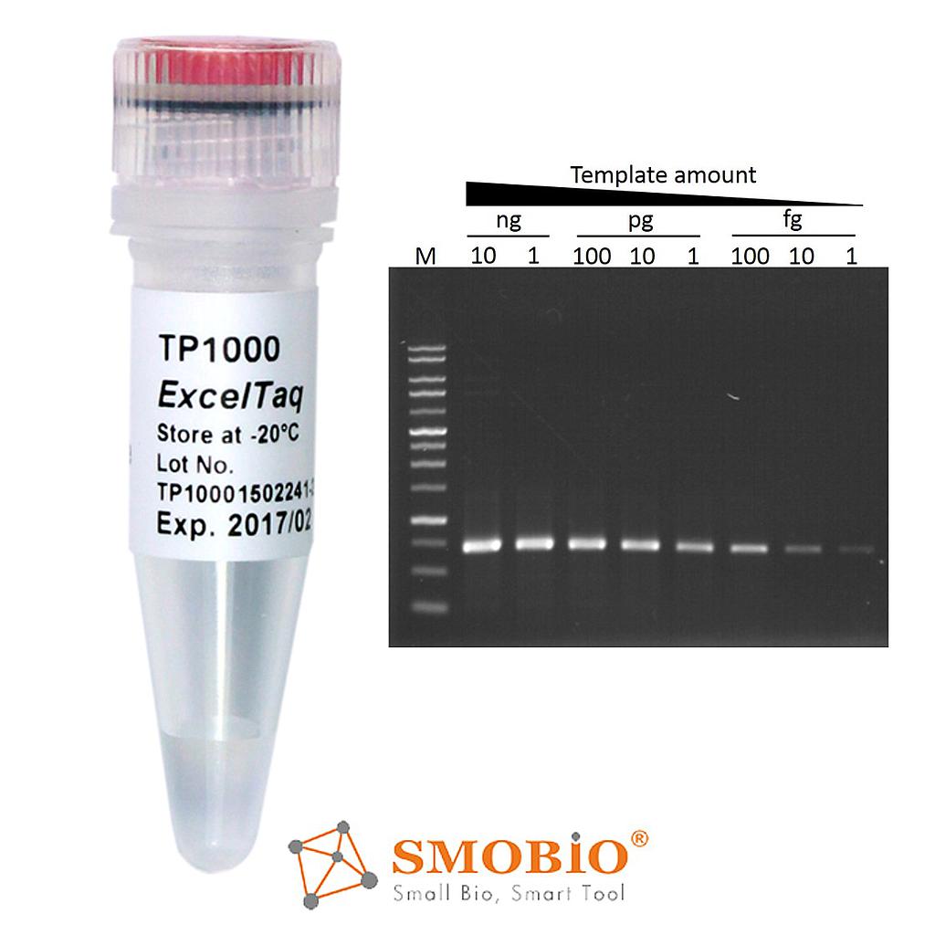 [TP1000] ExcelTaq™ Taq DNA Polymerase, (5 U/μl, 500 U)