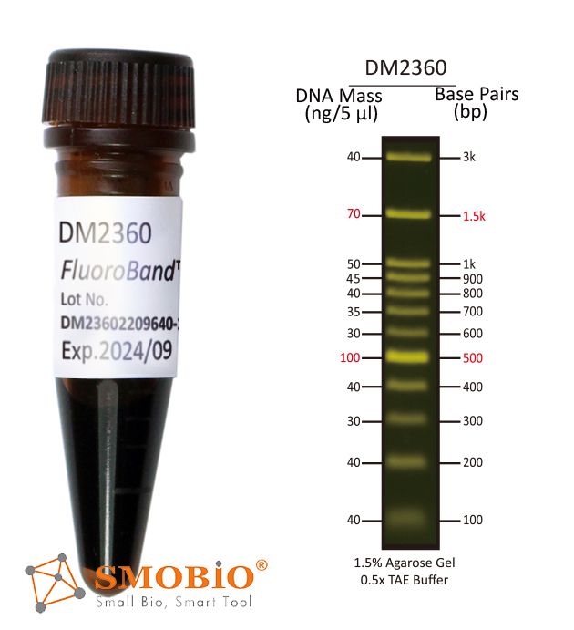 [DM2360] FluoroBand™ 100 bp+3K Fluorescent DNA Ladder, 500 μl