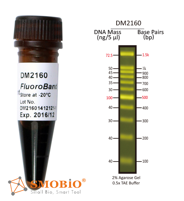 [DM2160] FluoroBand™ 100 bp Fluorescent DNA Ladder, 500 μl