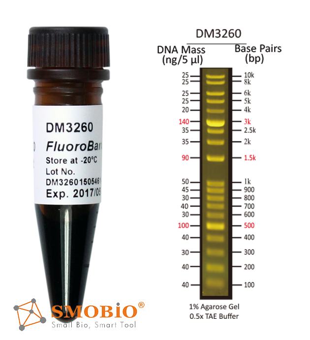 [DM3260] FluoroBand™ 1 KB Plus (0.1-10 kb) Fluorescent DNA Ladder, 500 μl