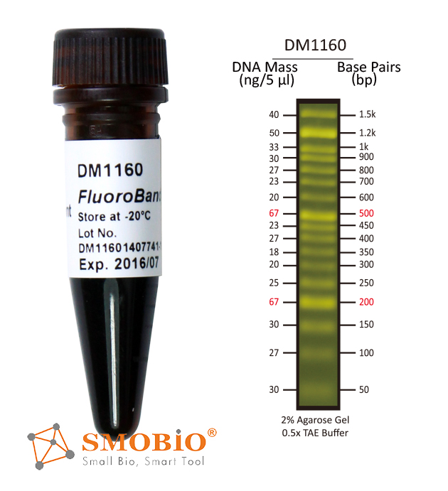 [DM1160] FluoroBand™ 50 bp Fluorescent DNA Ladder, 500 μl