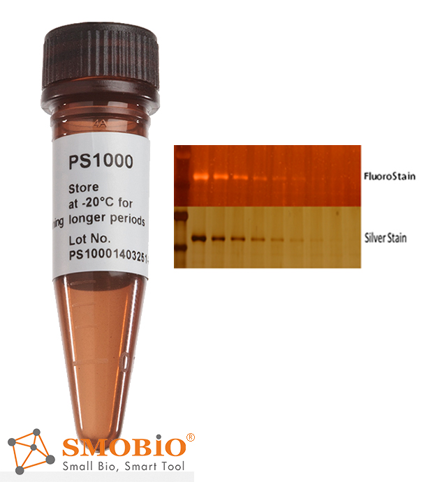 [PS1000] FluoroStain™ Protein Fluorescent Staining Dye (Red, 1,000X), 1 ml