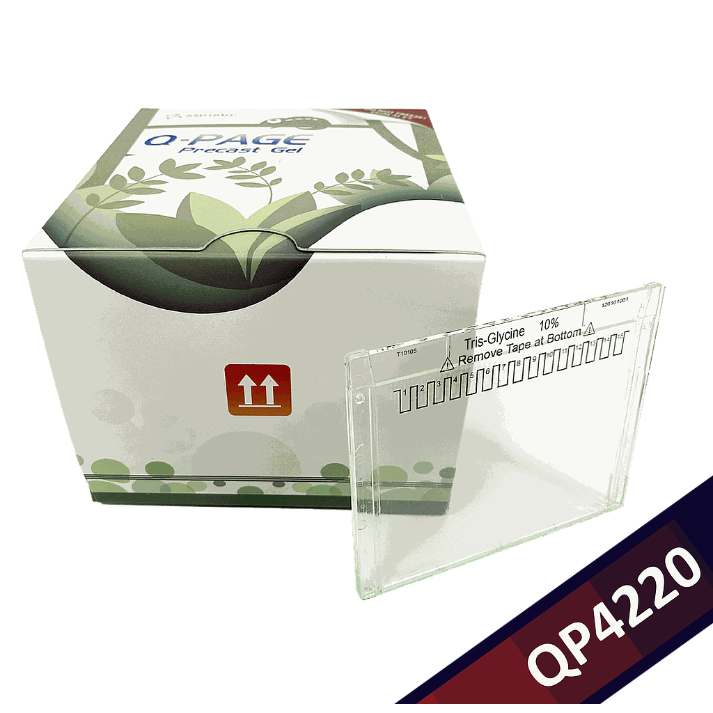 [QP4220] Q-PAGE™ TGN Precast Gel (Mini, 15 wells, 10%), 10 gels