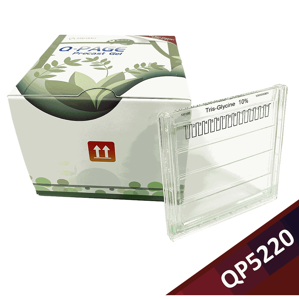 [QP5220] Q-PAGE™ TGN Precast Gel (Midi, 15 wells, 10%), 10 gels