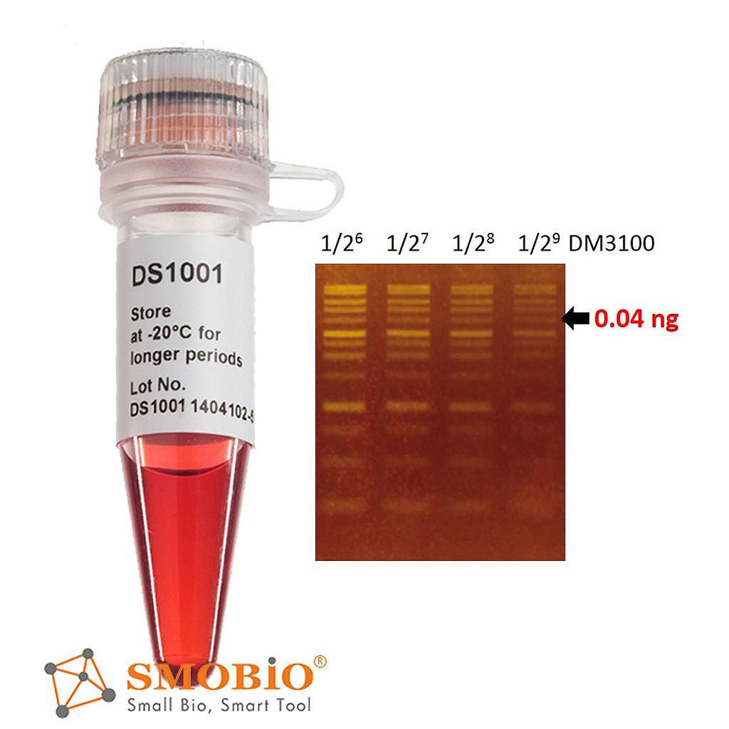 [DS1001] FluoroStain™ DNA Fluorescent Staining Dye (Green, 10,000X), 500 μl x 5 