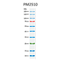 ExcelBand™ Enhanced 3-color Regular Range Protein Marker, 250 μl x 2