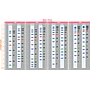 ExcelBand™ 3-color High Range Protein Marker, 250 μl x 2