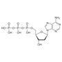 SMOChem™ dATP solution - Sodium Salt (100 mM), 25 ml