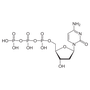 SMOChem™ dCTP Solution - Sodium Salt (100 mM), 25 ml