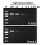 G-HiFi™ DNA Polymerase, (1 U/μl, 100 U)