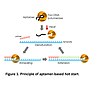 ExcelTaq™ Hot Start II DNA Polymerase (5 U/μl, 500 U)