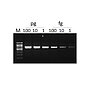 ExcelTaq™ Hot Start II DNA Polymerase (5 U/μl, 500 U)