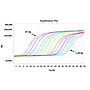 ExcelTaq™ 2X Q-PCR Master Mix (SYBR, no ROX), 200 RXN