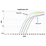 ExcelTaq™ 2X Q-PCR Master Mix (SYBR, ROX), 200 RXN