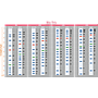 [PM5200] ExcelBand™ 3-color Pre-stained Protein Ladder, Broad Range (3.5-245 kDa), 250 μl x 2