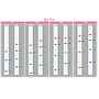 [WM1000] YesBlot™ Western Marker I, 250 μl