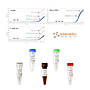 [IP2000] IdPath™ COVID-19 Real-Time RT-PCR Kit, 100 RXN