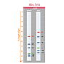 [PM6628] ProMetric™ TriColor Low Range Protein Ladder, 2 to 40 kDa, 250 μl