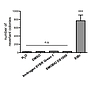 [DS1001] FluoroStain™ DNA Fluorescent Staining Dye (Green, 10,000X), 500 μl x 5 