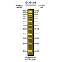 FluoroBand™ 1 KB (0.25-10 kb) Fluorescent DNA Ladder, 500 μl