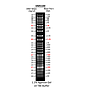 ExcelBand™ Super Range DNA Ladder (50 bp-25 kb), 500 μl