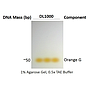 ExcelDye™ 6X DNA Loading Dye, Orange, 5 ml x 2