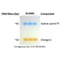 ExcelDye™ 6X DNA Loading Dye, Green, 5 ml x 2