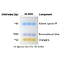 ExcelDye™ 6X DNA Loading Dye, Tri-color, 5 ml x 2