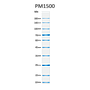 ExcelBand™ All Blue Regular Range Protein Marker, 250 μl x 2