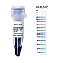 [PM5200] ExcelBand™ 3-color Pre-Stained Protein Ladder, Broad Range (3.5-245 kDa), 250 μl x 2
