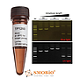 [TP1260] ExcelTaq™ 5X Fluorescent PCR Master Mix, 200 Rxn